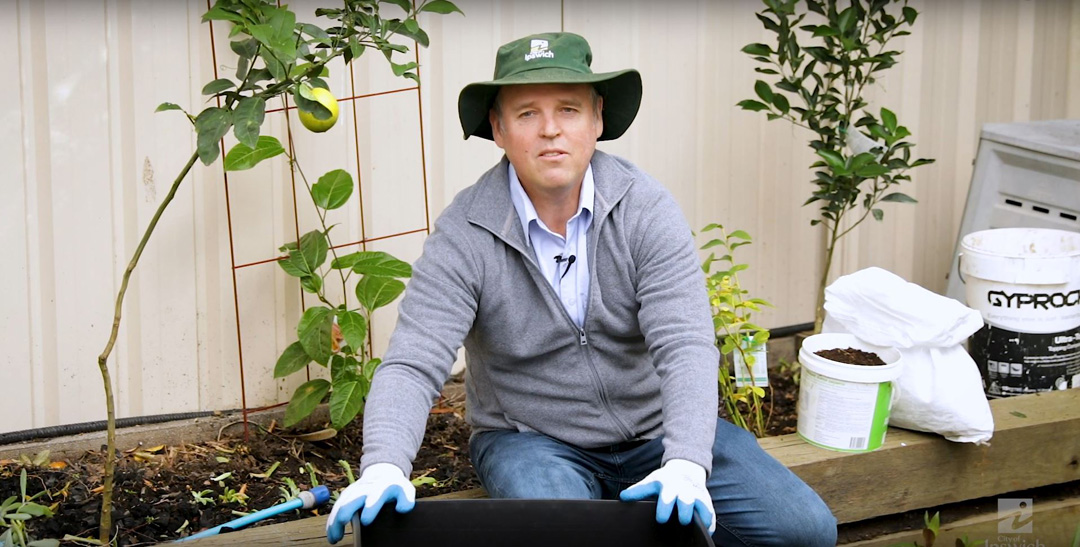 Gardening with James Hilyard: Tips for worm farming and composting ...