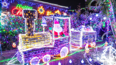 Photo of Winning Christmas Lights Competition tips for your family