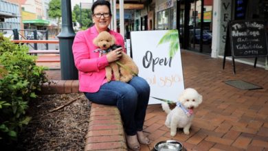 Photo of Off-leash ‘pup-up’ park to celebrate Ipswich’s vibrant city heart