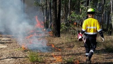 Photo of Hazard reduction burns planned for Ipswich conservation areas