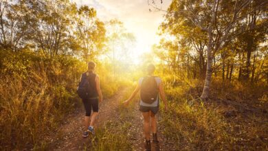 Bushwalkers in nature