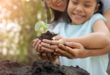 Mother and child planting a plant in the sun