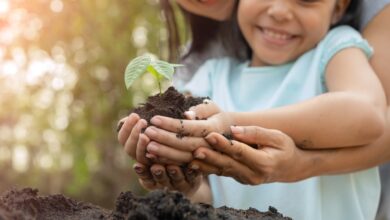 Mother and child planting a plant in the sun
